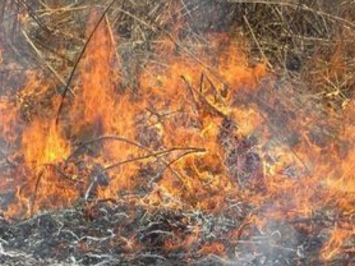 Рятівникам Авдіївки повідомили, що палає трава