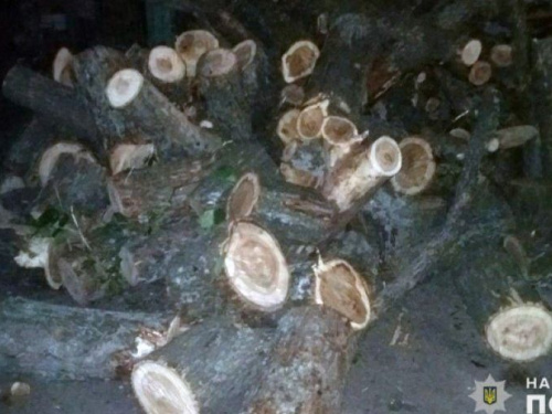 Авдеевские полицейские зафиксировали незаконную вырубку леса: подробности и фото