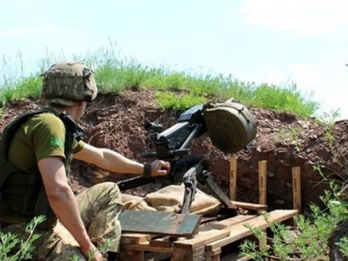 фото: открытый источник