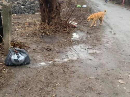 Безвідповідальні мешканці Авдіївки залишають сміття посеред  вулиць