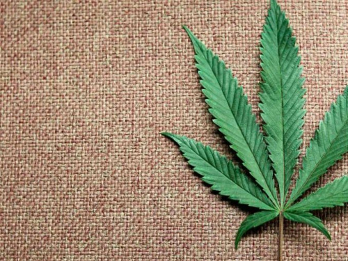 Полиция изъяла "травку" у двух жителей Авдеевки