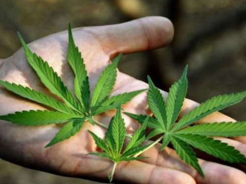 Авдеевские полицейские  остановили  на вокзале мужчину с коноплей 