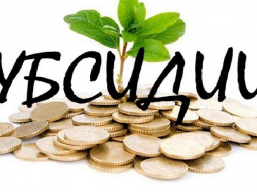 Начата выплата жилищных субсидий и льгот в денежной наличной форме за сентябрь текущего года