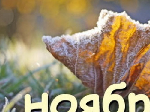 День в календаре - 01 ноября: погода, приметы, праздники