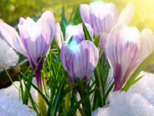 Погода порадует жителей Авдеевки