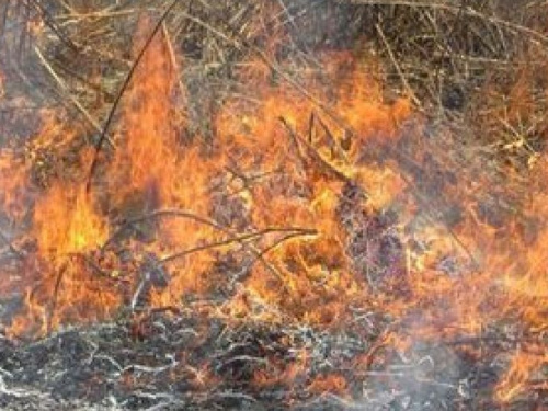 В Донецкой области пылали мусор, лесная подстилка и заборы