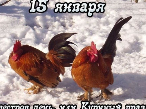 День в календаре – 15 января: погода, приметы, праздники