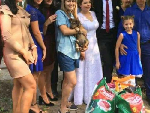 Корм для животных вместо свадебных букетов: как авдеевские молодожёны помогли четырёхлапым (ФОТО)