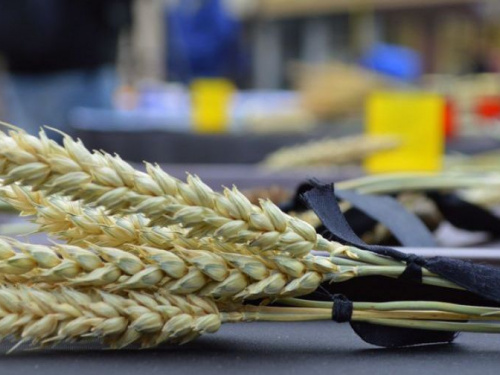 ВІДЕО. В Авдіївці відкрилась виставка про людей, які розповіли світу про Голодомор 1932-1933 років