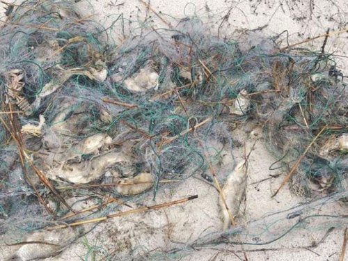 Вблизи Авдеевки поймали браконьеров (ФОТО)