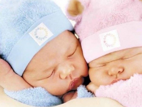 В Авдеевке теперь живут маленькие Есения и Шекер