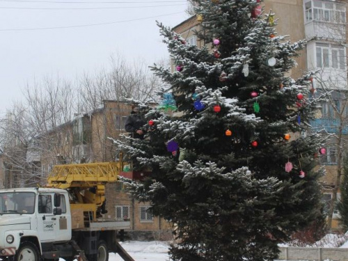 В Авдеевке раздели зеленых красавиц (ФОТОФАКТ)