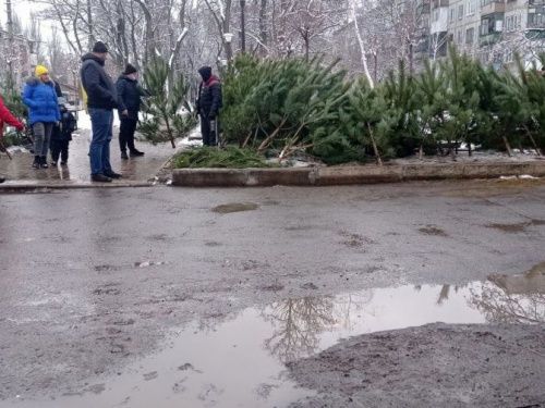 Елочные базары в Авдеевке: во сколько горожанам обойдётся лесная красавица?