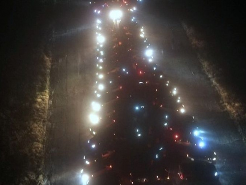 В Святогорске «зажгли» елку из автомобилей и людей