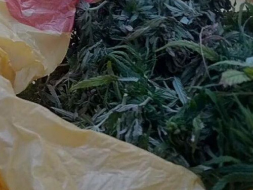 Полиция Авдеевки задержала двух любителей марихуаны