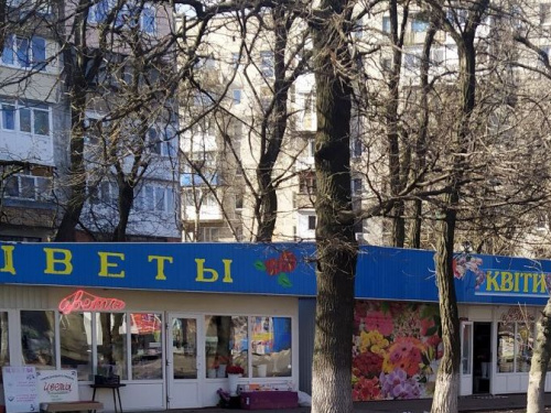 Авдеевским мужчинам придется раскошелиться на цветы к 8 Марта