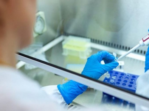 В Украине тестируют четыре препарата для лечения коронавируса