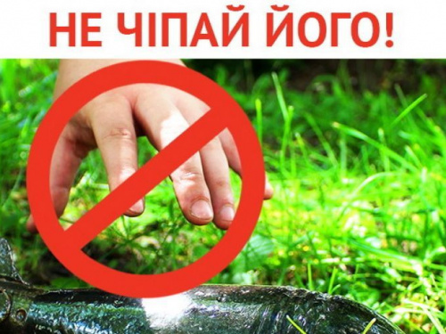 Рятувальники нагадали авдіївцям про загрозу вибухонебезпечних предметів