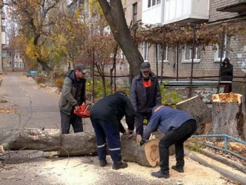 Авдіївці пільгових категорій можуть отримати дрова
