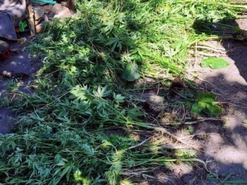 Правоохранители Покровской оперативной зоны пресекли более 120 преступлений с наркотиками