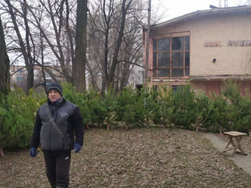 По чём новогодние красавицы в Авдеевке (ФОТО