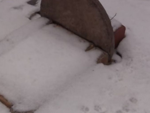 Война на Донбассе: в Авдеевке увековечили память кошки-спасительницы (ФОТО + ВИДЕО)