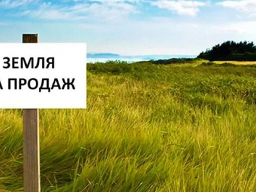 Рынок земли: сколько будет стоить гектар в Украине