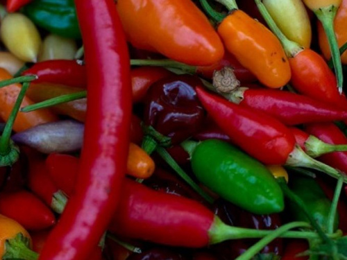 Медики назвали авдеевцам продукт, снижающий риск смерти на 25%