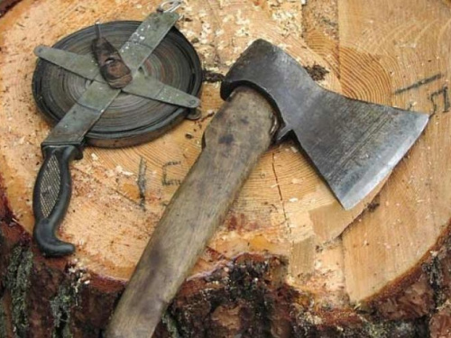 В Авдеевке вырубят более 60 деревьев