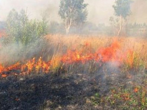 Пожарная опасность: тревожные новости из Донецкой области