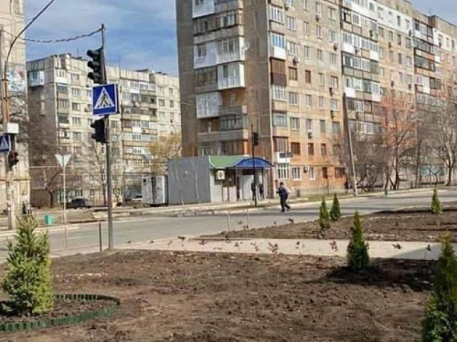 Авдіївці приєдналися до екологічного проекту «Озеленення планети» (ФОТОФАКТ)