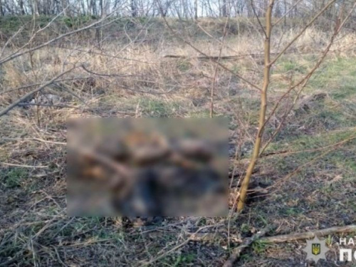 Авдеевские полицейские устанавливают личность человека, останки которого найдены в Ясиноватском районе