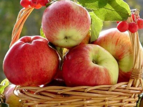 Яблочный спас 2019: авдеевцам о приметах, традициях и запретах праздника