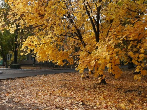 Объявлен конкурс на лучший авдеевский пейзаж