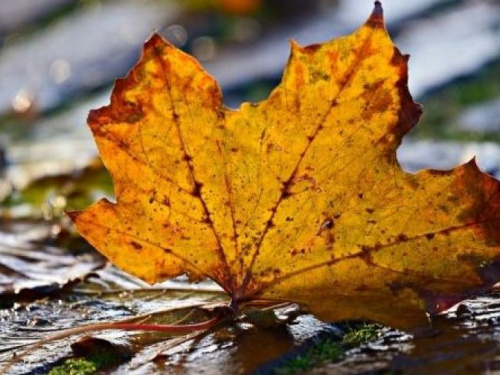 Погода: синоптики дали прогноз на выходные