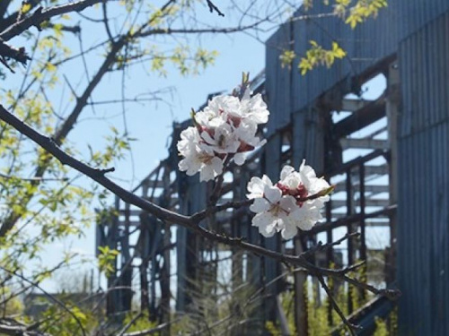 Авдеевская промзона: как здесь сражаются и на что надеются (ФОТО)