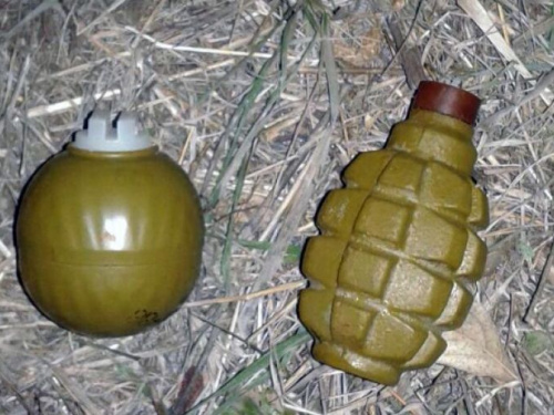 В Авдеевке гранаты спрятали в дупло (ФОТО)