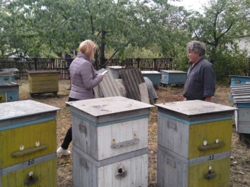 Обследование пасек в Авдеевке завершено