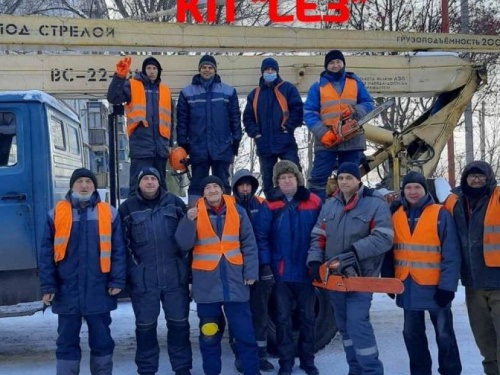 Авдіївські комунальники підводять підсумки року: що зроблено службою озеленення у 2021