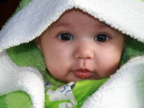 В Авдеевке зарегистрированы одиннадцать новых жителей