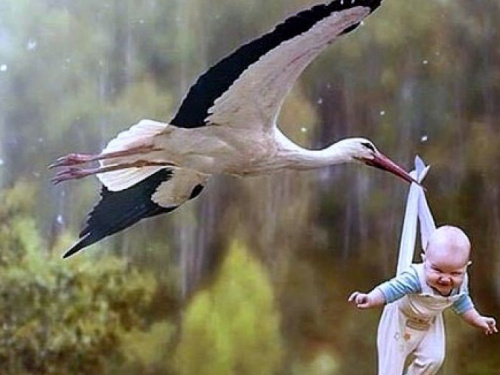 В Авдеевке зарегистрировано восемь новых жителей 