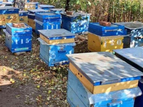 В Авдеевке проверили пасеки пчеловодов, претендующих на дотацию от государства