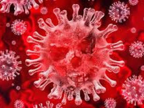 Новые инфицированные и летальный случай-коронавирус в Авдеевке