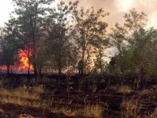 Пожарные на Донетчине за сутки ликвидировали  десяток пожаров на открытой территории