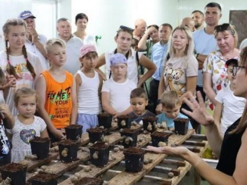 Авдеевцев приглашают посетить первую в Донетчине улиточную ферму