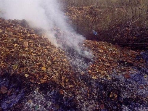 В Авдеевке усилен контроль за случаями сжигания растительности 