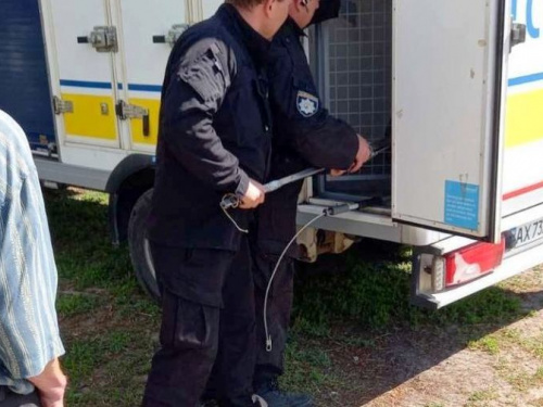 В Авдіївці продовжують роботу фахівці «ЗооКонтролю»