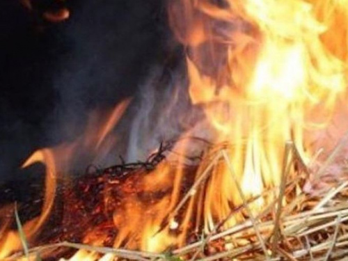 Донетчина продолжает страдать от пожаров из-за жаркой и сухой погоды