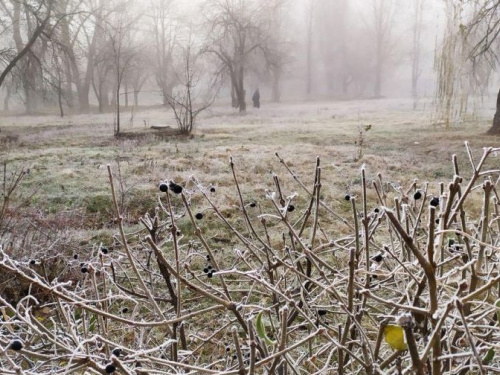 В Авдеевке -3°С: город покрыт инеем и туманом. ФОТОФАКТ