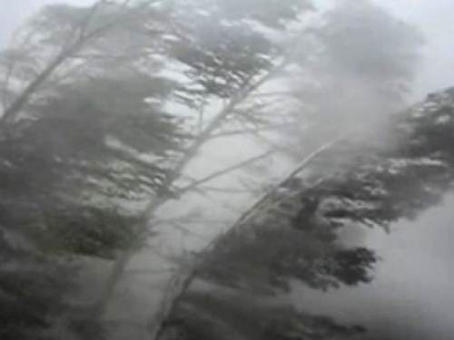 Авдеевцев  предупредили о шквальном ветре